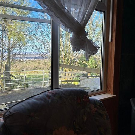 Cozy Room In A Barn With Farm View Dublin Eksteriør billede