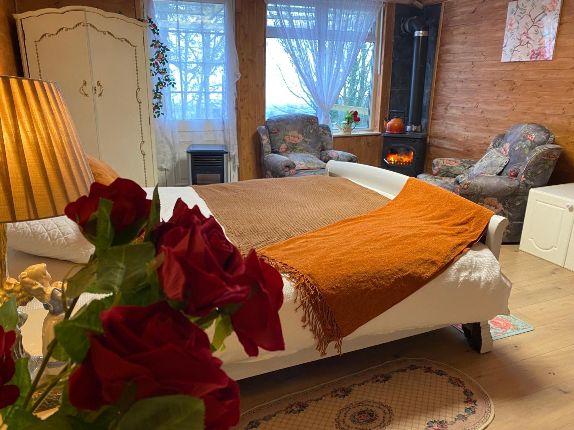 Cozy Room In A Barn With Farm View Dublin Eksteriør billede