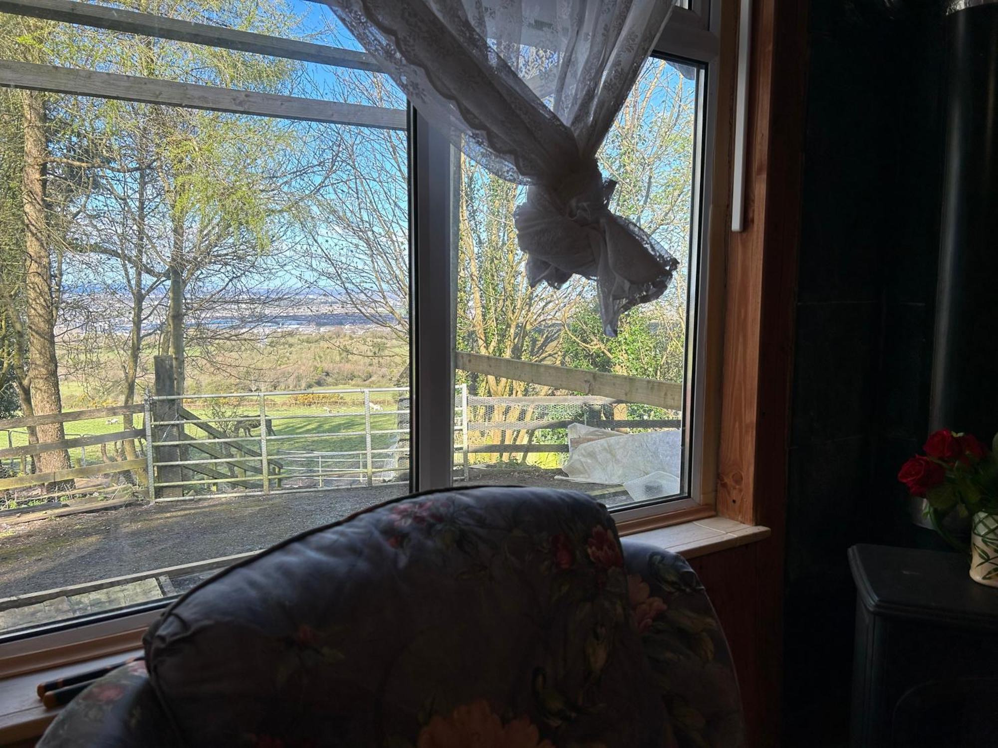 Cozy Room In A Barn With Farm View Dublin Eksteriør billede